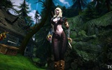 Tera_screenshot_20110214_130724