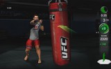 Punching-bag-1