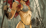 1704522-red_sonja_60_cover_colors_by_fabianoneves_d3aszyd