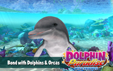 Dolphin-iphone5-01